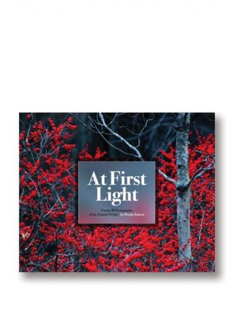 At-First-Light
